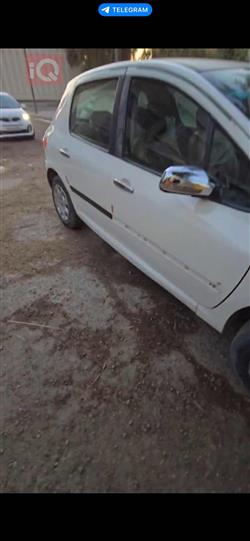 بیجۆ 307